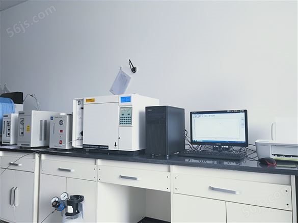 上海化工气相色谱仪制造